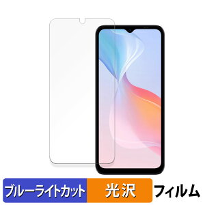 �y�|�C���g2�{�z DOOGEE N55 Pro ������ �ی�t�B���� �u���[���C�g�J�b�g �t�B���� �y����d�l�z ���{��