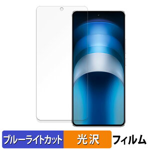 vivo iQOO Neo9S Pro ������ �ی�t�B���� �u���[���C�g�J�b�g �t�B���� �y����d�l�z ���{��