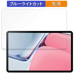 DOOGEE T20 Ultra ������ �ی�t�B���� �u���[���C�g�J�b�g �t�B���� �y����d�l�z ���{��