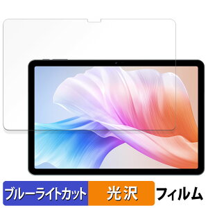 �y�|�C���g2�{�z DOOGEE T30S ������ �ی�t�B���� �u���[���C�g�J�b�g �t�B���� �y����d�l�z ���{��