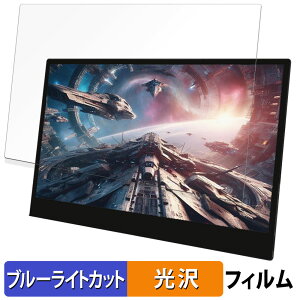 �y�|�C���g2�{�z WINTEN WT-133RTO4-BK ������ �ی�t�B���� �u���[���C�g�J�b�g �t�B���� �y����d�l�z ���{��