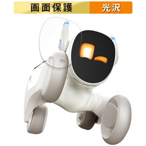 Loona (���[�i) ������ �t�B���� �t�� �ی�t�B���� �y�����ߗ��z ���{��