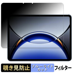 �y�|�C���g2�{�z OPPO Pad 3 Pro �y 180�x �z �`�����h�~ �t�B���� �u���[���C�g�J�b�g �A���`�O���A ���{��