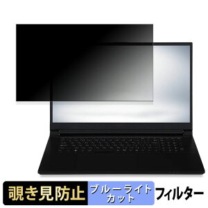 �y�|�C���g2�{�z iiyama STYLE-14FH124 �V���[�Y 14�C���` 16:9 ������ �y180�x�z �`�����h�~ �t�B���� �u���[���C�g�J�b�g �A���`�O���A