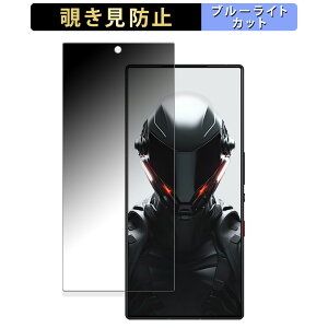 �y�|�C���g2�{�z Nubia REDMAGIC 9 Pro (�C���J�������L��) ������ �y180�x�z �`�����h�~ �t�B���� �u���[���C�g�J�b�g �A���`�O���A ���{��