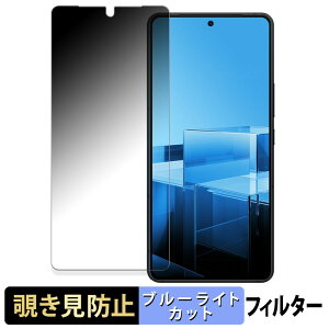 �y�|�C���g2�{�z ASUS Zenfone 11 Ultra ������ �y180�x�z �`�����h�~ �t�B���� �u���[���C�g�J�b�g �A���`�O���A ���{��