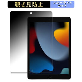 Apple iPad ( 第9世代 ) 2021 10.2インチ 向けの 【180度】 覗き見防止 フィルム ブルーライトカット アンチグレア 日本製