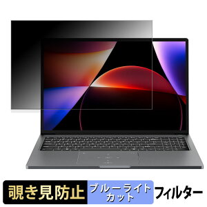 Blackview AceBook 12 16�C���` 16:10 ������ �`�����h�~ �v���C�o�V�[�t�B���^�[ �y�^�u�E�S���V�[�����z �u���[���C�g�J�b�g �ی�t�B���� ���˖h�~