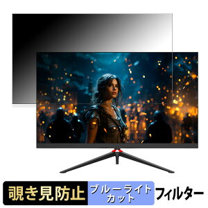 JAPANNEXT JN-IPS3152WQHDR165 ������ 31.5�C���` 16:9 �`�����h�~ �v���C�o�V�[�t�B���^�[ �u���[���C�g�J�b�g �ی�t�B���� �A���`�O���A �^�u�E�S���V�[����