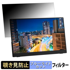 �A�C���X�I�[���} DP-FF164S-B ������ 15.6�C���` 16:9 �`�����h�~ �v���C�o�V�[�t�B���^�[ �u���[���C�g�J�b�g �ی�t�B���� �A���`�O���A �^�u�E�S���V�[����