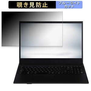 �y�|�C���g2�{�z iiyama STYLE-15FH111-N-UC1X 15.6�C���` 16:9 ������ �`�����h�~ �v���C�o�V�[�t�B���^�[ �y�^�u�E�S���V�[�����z �u���[���C�g�J�b�g �ی�t�B���� ���˖h�~