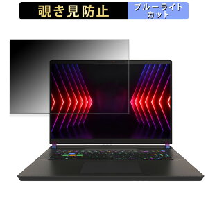 MSI Vector 17 HX A14V 17�C���` 16:10 ������ �`�����h�~ �v���C�o�V�[�t�B���^�[ �y�^�u�E�S���V�[�����z �u���[���C�g�J�b�g �ی�t�B���� ���˖h�~