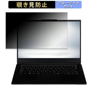 �y�|�C���g2�{�z iiyama STYLE-14FH124-i5-UXSX-CP 14�C���` 16:9 ������ �`�����h�~ �v���C�o�V�[�t�B���^�[ �y�^�u�E�S���V�[�����z �u���[���C�g�J�b�g �ی�t�B���� ���˖h�~