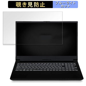 �y�|�C���g2�{�z iiyama LEVEL-15FX155-i7-PLSX-DOZLE 15.6�C���` 16:9 ������ �`�����h�~ �v���C�o�V�[�t�B���^�[ �y�^�u�E�S���V�[�����z �u���[���C�g�J�b�g �ی�t�B���� ���˖h�~