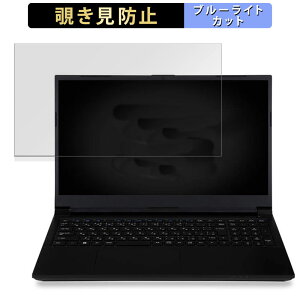 iiyama LEVEL-15FH127-i7-UH1X 15.6�C���` 16:9 ������ �`�����h�~ �v���C�o�V�[�t�B���^�[ �y�^�u�E�S���V�[�����z �u���[���C�g�J�b�g �ی�t�B���� ���˖h�~