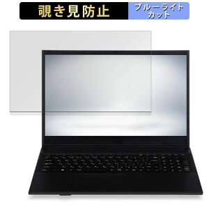 �y�|�C���g2�{�z iiyama STYLE-15FH111-N-UCFX 15.6�C���` 16:9 ������ �`�����h�~ �v���C�o�V�[�t�B���^�[ �y�^�u�E�S���V�[�����z �u���[���C�g�J�b�g �ی�t�B���� ���˖h�~