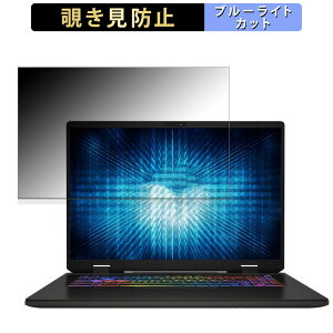 MSI Sword 17 HX B14V 17�C���` 16:10 ������ �`�����h�~ �v���C�o�V�[�t�B���^�[ �y�^�u�E�S���V�[�����z �u���[���C�g�J�b�g �ی�t�B���� ���˖h�~