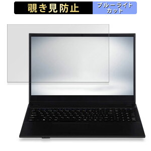 �y�|�C���g2�{�z iiyama STYLE-15FH111-N-UCEX-D 15.6�C���` 16:9 ������ �`�����h�~ �v���C�o�V�[�t�B���^�[ �y�^�u�E�S���V�[�����z �u���[���C�g�J�b�g �ی�t�B���� ���˖h�~