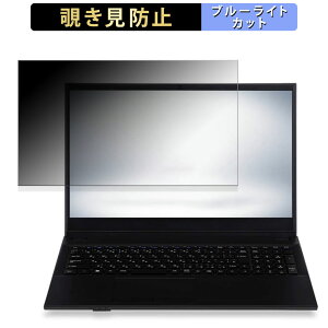 �y�|�C���g2�{�z iiyama STYLE-15FH111-N-UCEX 15.6�C���` 16:9 ������ �`�����h�~ �v���C�o�V�[�t�B���^�[ �y�^�u�E�S���V�[�����z �u���[���C�g�J�b�g �ی�t�B���� ���˖h�~