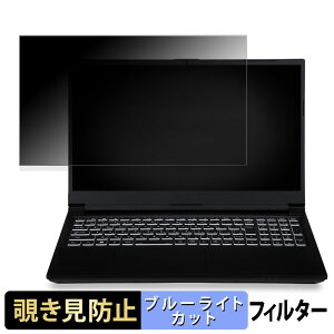 iiyama LEVEL-15FX164-i7-RM4X 15.6�C���` 16:9 ������ �`�����h�~ �v���C�o�V�[�t�B���^�[ �y�^�u�E�S���V�[�����z �u���[���C�g�J�b�g �ی�t�B���� ���˖h�~