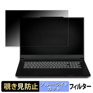 �y�|�C���g2�{�z iiyama LEVEL-17WG191-i9-XL1X-D 17.3�C���` 16:9 ������ �`�����h�~ �v���C�o�V�[�t�B���^�[ �y�^�u�E�S���V�[�����z �u���[���C�g�J�b�g �ی�t�B���� ���˖h�~