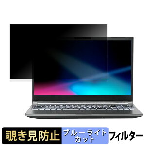 THIRDWAVE GALLERIA RL5R-G165-5 15.6�C���` 16:9 ������ �`�����h�~ �v���C�o�V�[�t�B���^�[ �y�^�u�E�S���V�[�����z �u���[���C�g�J�b�g �ی�t�B���� ���˖h�~