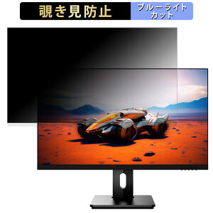 JAPANNEXT JN-i315WQHDR165-HSP ������ 31.5�C���` 16:9 �`�����h�~ �v���C�o�V�[�t�B���^�[ �u���[���C�g�J�b�g �ی�t�B���� �A���`�O���A �^�u�E�S���V�[����