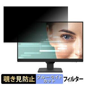 BenQ GW2490-JP ������ 23.8�C���` 16:9 �`�����h�~ �v���C�o�V�[�t�B���^�[ �u���[���C�g�J�b�g �ی�t�B���� �A���`�O���A �^�u�E�S���V�[����
