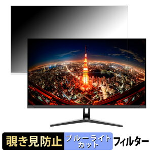 �y�y�V�X�[�p�[SALE �|�C���g2�{�z JAPANNEXT JN-IPS315WQHDR-C65W ������ 31.5�C���` 16:9 �`�����h�~ �v���C�o�V�[�t�B���^�[ �u���[���C�g�J�b�g �ی�t�B���� �A���`�O���A �^�u�E�S���V�[����