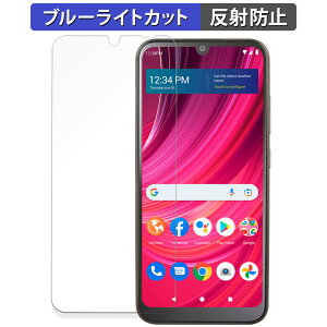 �y�|�C���g2�{�z �ی�t�B���� BLU VIEW 4 ������ �u���[���C�g�J�b�g �t�B���� �ȖʑΉ� �y���˒ጸ�z ���{��