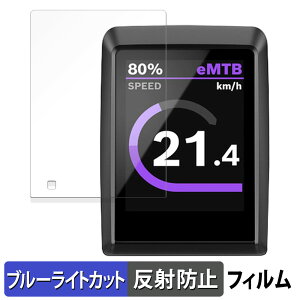 �y�|�C���g2�{�z Bosch Kiox 300 ������ �ی�t�B���� �u���[���C�g�J�b�g �t�B���� �y�ȖʑΉ� ���˒ጸ�z �L�Y�C�� ���{��