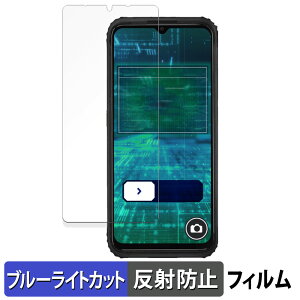 �y�|�C���g2�{�z ���q��Pocket ( KCT04 ) ������ �ی�t�B���� �u���[���C�g�J�b�g �t�B���� �y�ȖʑΉ� ���˒ጸ�z �L�Y�C�� ���{��
