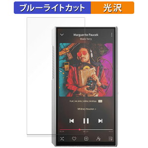 FIIO M11 Plus ESS Stainless Steel  یtB u[CgJbg tB yȖʑΉ dlz LYC {