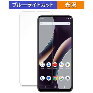 �y�|�C���g2�{�z BLU G73L ������ �ی�t�B���� �u���[���C�g�J�b�g �t�B���� �y�ȖʑΉ� ����d�l�z �L�Y�C�� ���{��