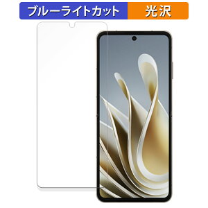 【ポイント2倍】 ZTE Libero Flip(メイン画面用) 向けの 保護フィルム ブルーライトカット フィルム 【曲面対応 光沢仕様】 キズ修復 日本製