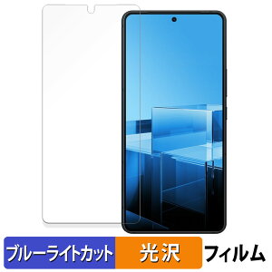 ASUS Zenfone 11 Ultra ������ �ی�t�B���� �u���[���C�g�J�b�g �t�B���� �y�ȖʑΉ� ����d�l�z �L�Y�C�� ���{��