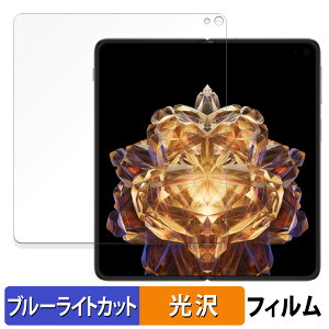 �y�|�C���g2�{�z OnePlus Open Apex Edition ( ���C����� ) ������ �ی�t�B���� �u���[���C�g�J�b�g �t�B���� �y�ȖʑΉ� ����d�l�z �L�Y�C�� ���{��