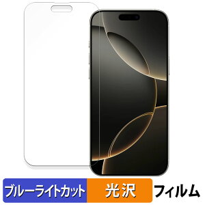 iPhone 16 Pro Max ( 画面 ) アップル アイフォン 16 プロ マックス ( 6.9インチ ) 向けの 保護フィルム ブルーライトカット フィルム 【曲面対応 光沢仕様】 キズ修復 日本製