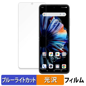 �y�|�C���g2�{�z ZTE nubia Flip 2 ( ���C���f�B�X�v���C ) ������ �ی�t�B���� �u���[���C�g�J�b�g �t�B���� �y�ȖʑΉ� ����d�l�z �L�Y�C�� ���{��