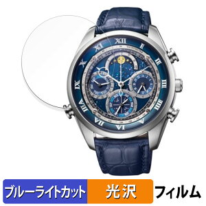 �y�|�C���g2�{�z CITIZEN CAMPANOLA COMPLICATION COLLECTION �R���v���P�[�V���� �R���N�V���� �V���[�Y �p �ی�t�B���� �u���[���C�g�J�b�g �t�B���� �y�ȖʑΉ� ����d�l�z �L�Y�C�� ���{��