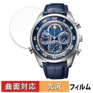 �y�|�C���g2�{�z CITIZEN CAMPANOLA COMPLICATION COLLECTION �R���v���P�[�V���� �R���N�V���� �V���[�Y �p �ی�t�B���� �y�ȖʑΉ� ����d�l�z �L�Y�C�� ���{��