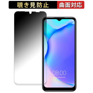 �y�|�C���g2�{�z DOOGEE N50 Pro ������ �y180�x �ȖʑΉ��z �`�����h�~ �t�B���� �u���[���C�g�J�b�g �A���`�O���A ���{��