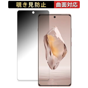 �y�|�C���g2�{�z OnePlus Ace 3 ������ �y180�x �ȖʑΉ��z �`�����h�~ �t�B���� �u���[���C�g�J�b�g �A���`�O���A ���{��