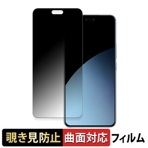 �y�|�C���g2�{�z Xiaomi 14 CIVI ������ �y180�x �ȖʑΉ��z �`�����h�~ �t�B���� �u���[���C�g�J�b�g �A���`�O���A ���{��