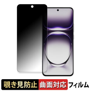 �y�|�C���g2�{�z OPPO Reno12 5G ������ �y180�x �ȖʑΉ��z �`�����h�~ �t�B���� �u���[���C�g�J�b�g �A���`�O���A ���{��