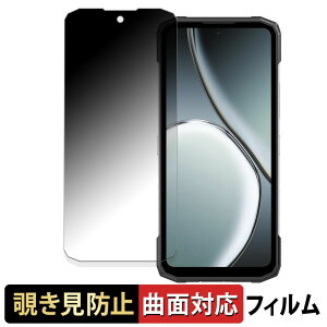 DOOGEE Blade10 Max ( ���C���f�B�X�v���C ) ������ �y180�x �ȖʑΉ��z �`�����h�~ �t�B���� �u���[���C�g�J�b�g �A���`�O���A ���{��