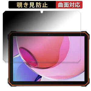 Blackview Active 6 ������ �y180�x �ȖʑΉ��z �`�����h�~ �t�B���� �u���[���C�g�J�b�g �A���`�O���A ���{��