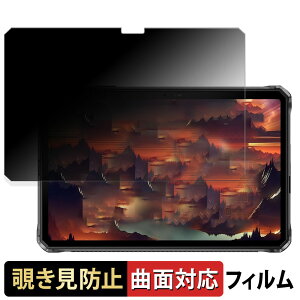 �y�|�C���g2�{�z DOOGEE R20 ������ �y180�x �ȖʑΉ��z �`�����h�~ �t�B���� �u���[���C�g�J�b�g �A���`�O���A ���{��