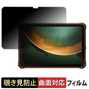 Blackview Active 10 Pro ������ �y180�x �ȖʑΉ��z �`�����h�~ �t�B���� �u���[���C�g�J�b�g �A���`�O���A ���{��