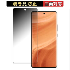 realme GT5 Pro ������ �y180�x �ȖʑΉ��z �`�����h�~ �t�B���� �u���[���C�g�J�b�g ����d�l ���{��